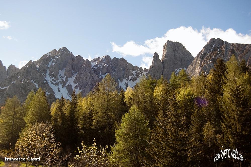 001 Il Cimone della Bagozza svetta sopra i pini.jpg